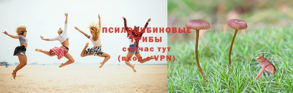 скорость Богданович