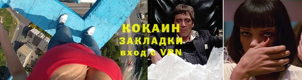 mdpv Богородск