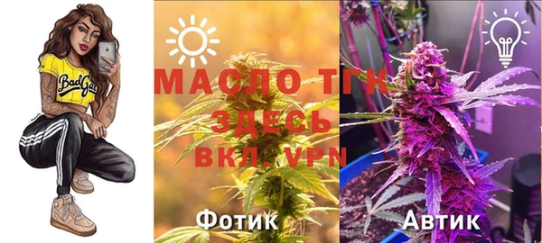 mdpv Богородск