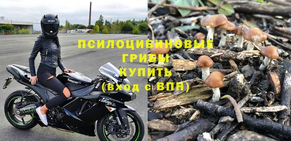 mdpv Богородск