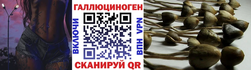Галлюциногенные грибы Psilocybine cubensis  мега онион  Наро-Фоминск 