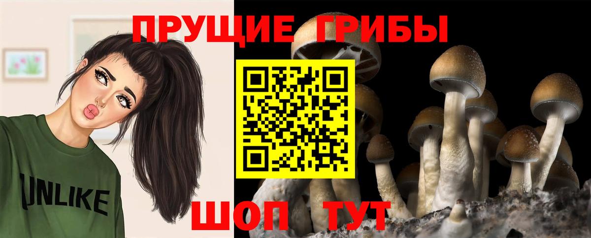 Галлюциногенные грибы Psilocybine cubensis  Вход с VPN  Наро-Фоминск 