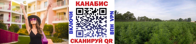 нарко площадка клад  Наро-Фоминск  Шишки марихуана White Widow 